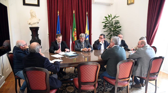 Património da Cister Equip. transferido