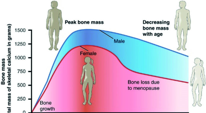 Saúde como prenda para o dia da mulher!