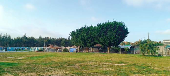 1 geral crapaa 2026 iv (15)