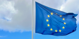 Os incêndios florestais não conhecem fronteiras, a resposta europeia também não