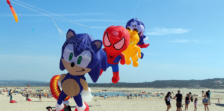 Papagaios gigantes voltam aos céus da Foz