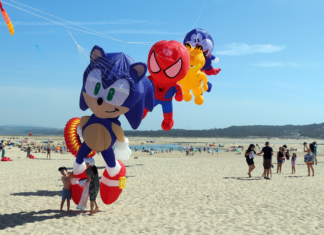 Papagaios gigantes voltam aos céus da Foz