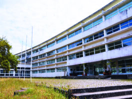 Os docentes da escola de artes caldense pretendem que seja discutida a situação dos professores especialistas