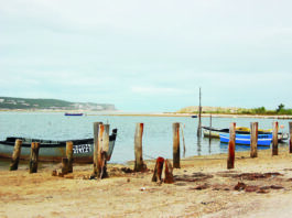 A interdição da pesca de bivalves na Lagoa é por “tempo indeterminado”